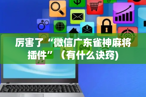 厉害了“微信广东雀神麻将插件”（有什么诀窍)