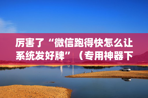 厉害了“微信跑得快怎么让系统发好牌”（专用神器下载)