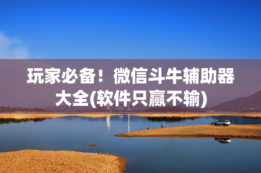玩家必备！微信斗牛辅助器大全(软件只赢不输)