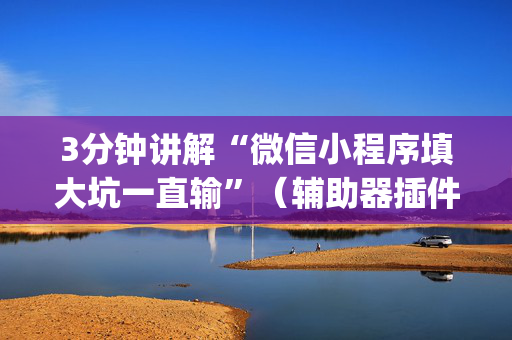3分钟讲解“微信小程序填大坑一直输”（辅助器插件)