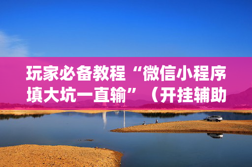 玩家必备教程“微信小程序填大坑一直输”（开挂辅助脚本)