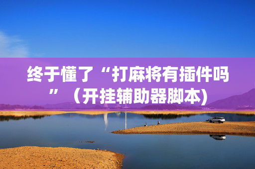 终于懂了“打麻将有插件吗”（开挂辅助器脚本)