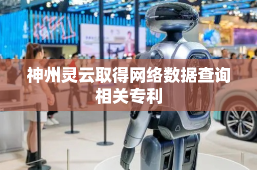 神州灵云取得网络数据查询相关专利