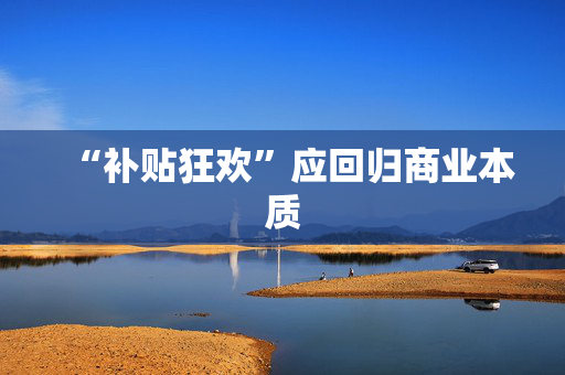 “补贴狂欢”应回归商业本质