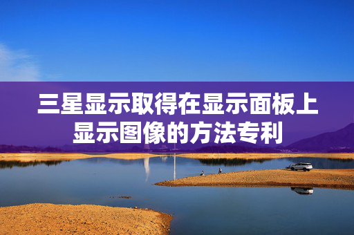 三星显示取得在显示面板上显示图像的方法专利