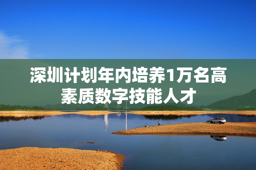 深圳计划年内培养1万名高素质数字技能人才
