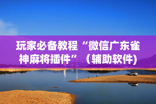 玩家必备教程“微信广东雀神麻将插件”（辅助软件)