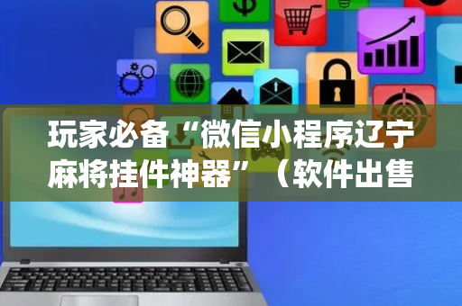 玩家必备“微信小程序辽宁麻将挂件神器”（软件出售)