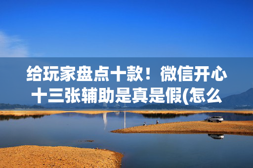 给玩家盘点十款！微信开心十三张辅助是真是假(怎么打会赢)