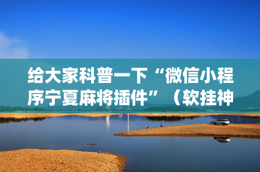 给大家科普一下“微信小程序宁夏麻将插件”（软挂神器)