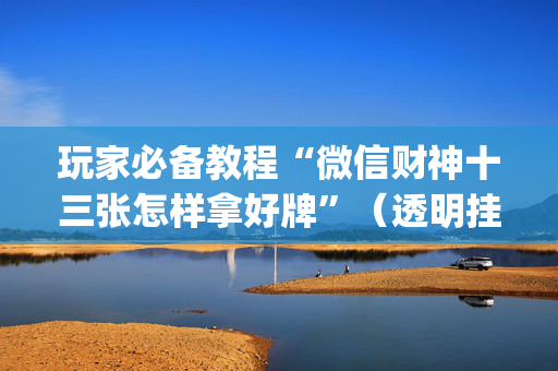 玩家必备教程“微信财神十三张怎样拿好牌”（透明挂辅助器)