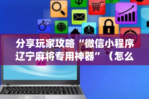 分享玩家攻略“微信小程序辽宁麻将专用神器”（怎么增加胜率)