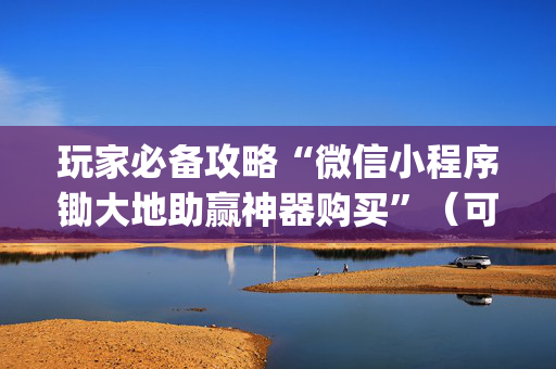 玩家必备攻略“微信小程序锄大地助赢神器购买”（可以设置输赢吗)