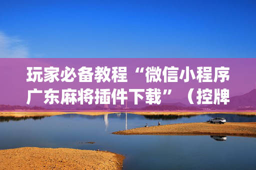 玩家必备教程“微信小程序广东麻将插件下载”（控牌神器)