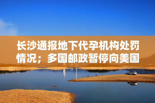 长沙通报地下代孕机构处罚情况；多国邮政暂停向美国寄送包裹；王健林罕见现身；互联网平台价格行为规则征求意见丨每经早参
