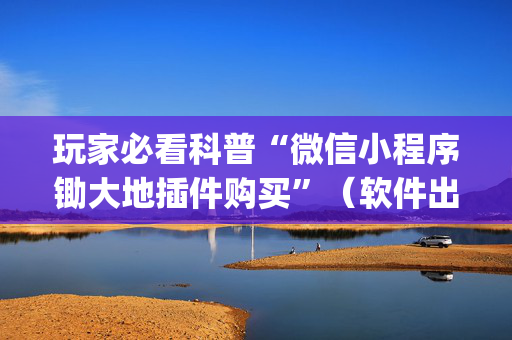 玩家必看科普“微信小程序锄大地插件购买”（软件出售)