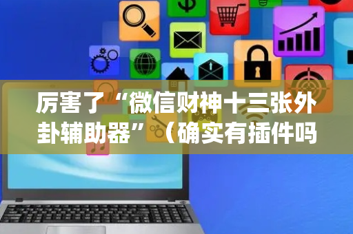 厉害了“微信财神十三张外卦辅助器”（确实有插件吗)