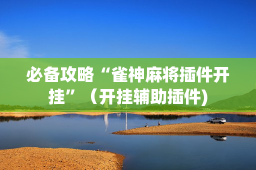 必备攻略“雀神麻将插件开挂”（开挂辅助插件)