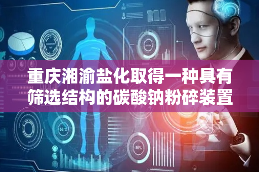 重庆湘渝盐化取得一种具有筛选结构的碳酸钠粉碎装置专利，达到颗粒的超细粉碎