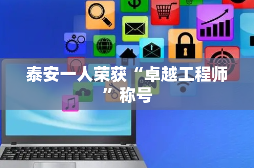 泰安一人荣获“卓越工程师”称号