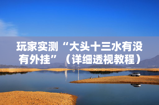 玩家实测“大头十三水有没有外挂”（详细透视教程）-哔哩哔哩