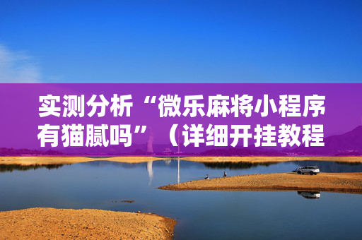 实测分析“微乐麻将小程序有猫腻吗”（详细开挂教程）-哔哩哔哩