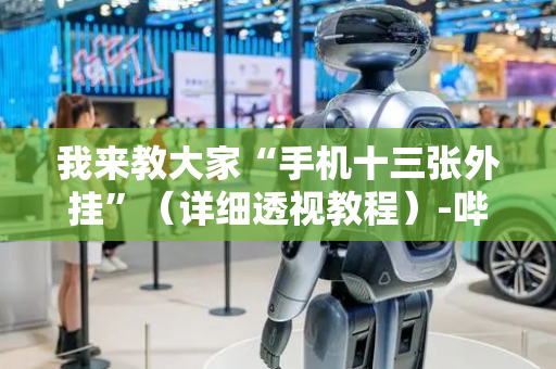 我来教大家“手机十三张外挂”（详细透视教程）-哔哩哔哩