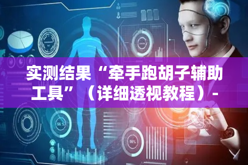 实测结果“牵手跑胡子辅助工具”（详细透视教程）-哔哩哔哩