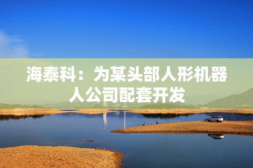 海泰科：为某头部人形机器人公司配套开发