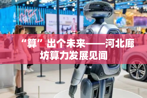 “算”出个未来——河北廊坊算力发展见闻