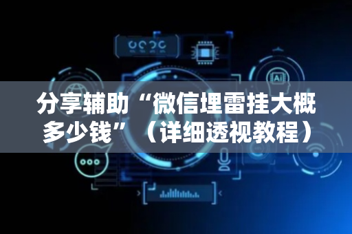 分享辅助“微信埋雷挂大概多少钱”（详细透视教程）-哔哩哔哩