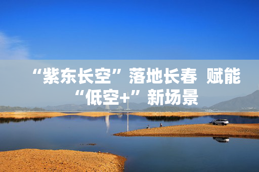 “紫东长空”落地长春  赋能“低空+”新场景