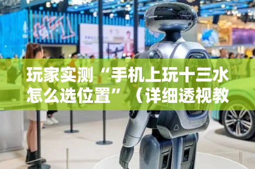 玩家实测“手机上玩十三水怎么选位置”（详细透视教程）-哔哩哔哩