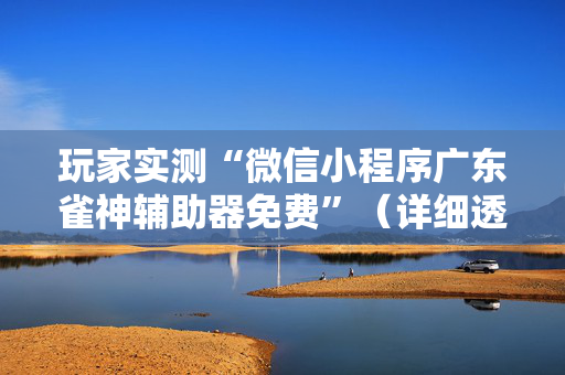 玩家实测“微信小程序广东雀神辅助器免费”（详细透视教程）-哔哩哔哩