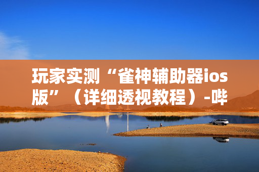 玩家实测“雀神辅助器ios版”（详细透视教程）-哔哩哔哩