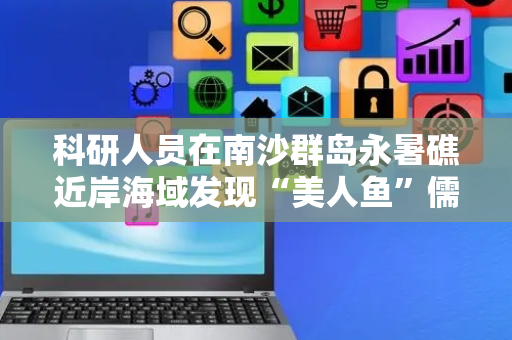 科研人员在南沙群岛永暑礁近岸海域发现“美人鱼”儒艮活动