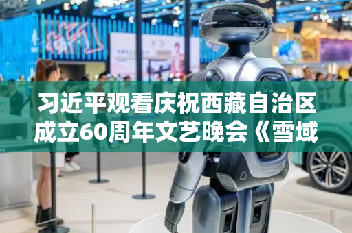 习近平观看庆祝西藏自治区成立60周年文艺晚会《雪域欢歌》