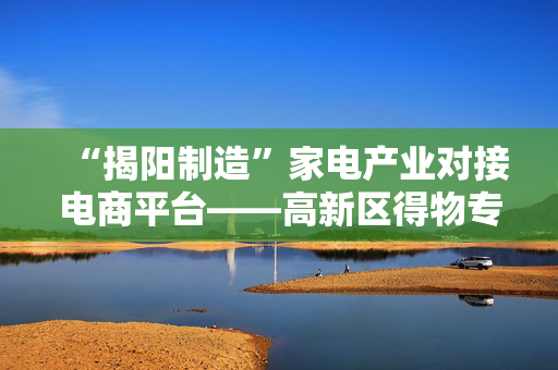 “揭阳制造”家电产业对接电商平台——高新区得物专场招商会举行