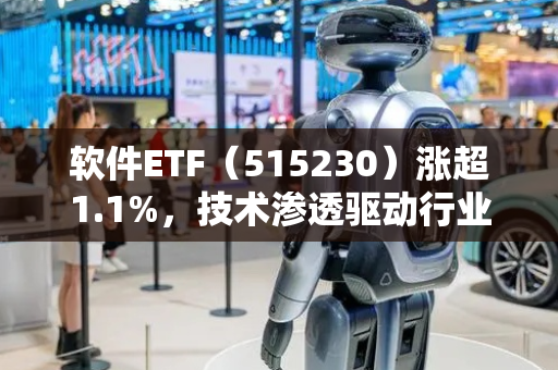 软件ETF（515230）涨超1.1%，技术渗透驱动行业效率提升
