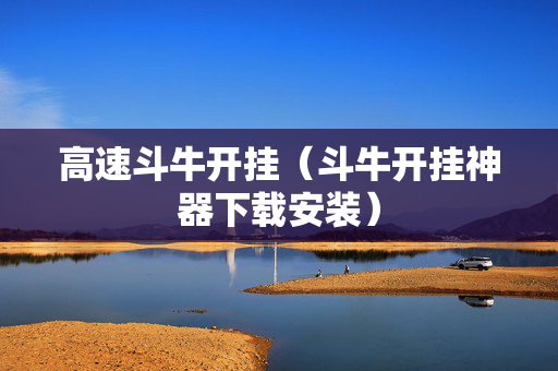 高速斗牛开挂（斗牛开挂神器下载安装）