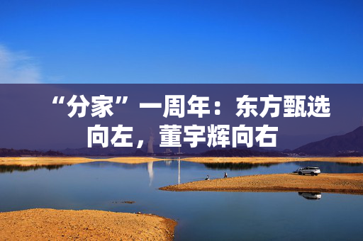 “分家”一周年：东方甄选向左，董宇辉向右