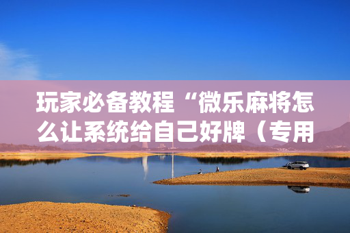 玩家必备教程“微乐麻将怎么让系统给自己好牌（专用辅牌神器免安装）