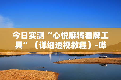今日实测“心悦麻将看牌工具”（详细透视教程）-哔哩哔哩