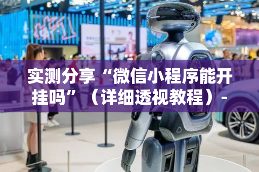 实测分享“微信小程序能开挂吗”（详细透视教程）-哔哩哔哩