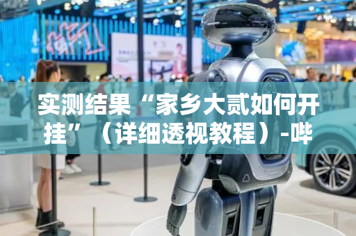 实测结果“家乡大贰如何开挂”（详细透视教程）-哔哩哔哩
