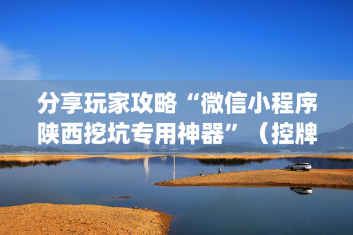 分享玩家攻略“微信小程序陕西挖坑专用神器”（控牌神器)