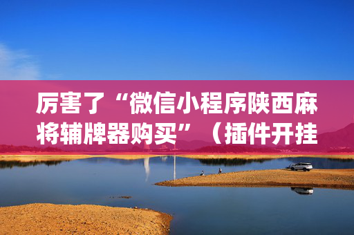 厉害了“微信小程序陕西麻将辅牌器购买”（插件开挂免费AI)
