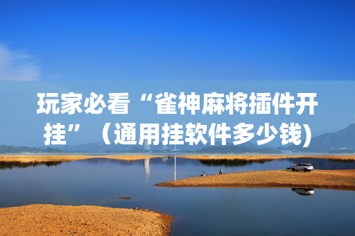 玩家必看“雀神麻将插件开挂”（通用挂软件多少钱)