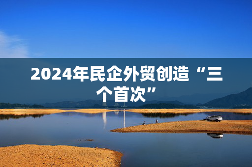 2024年民企外贸创造“三个首次”
