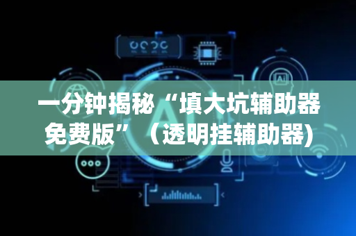 一分钟揭秘“填大坑辅助器免费版”（透明挂辅助器)